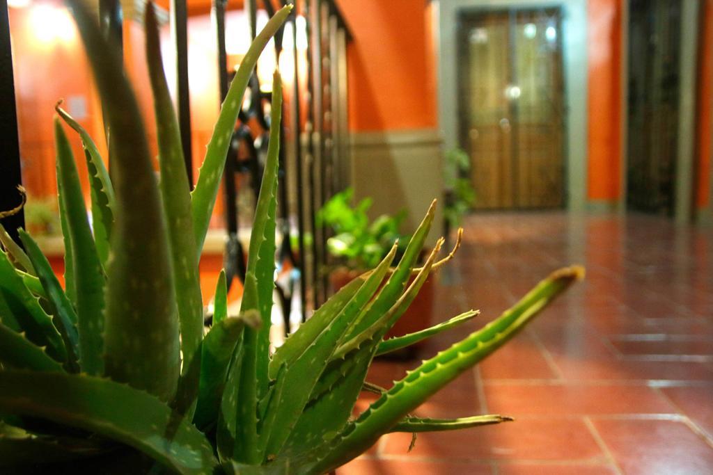 Oaxaca Parador San Fernando מראה חיצוני תמונה